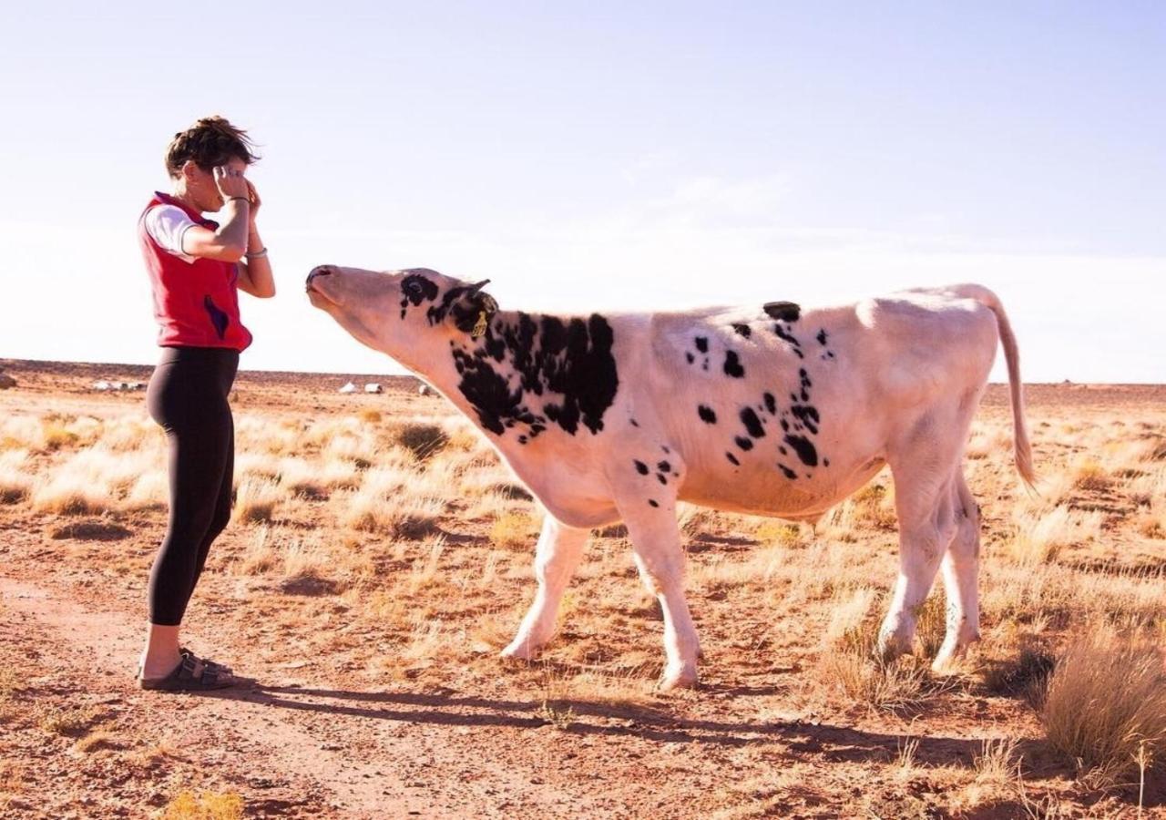 بيج Shash Dine' Ecoretreat المظهر الخارجي الصورة